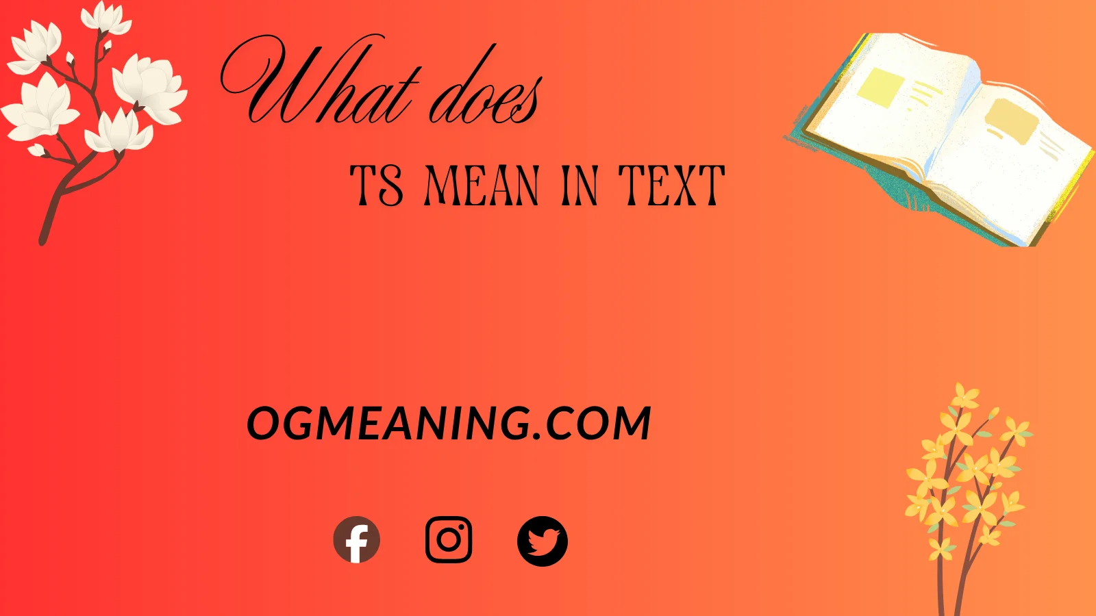 what does TS mean in text