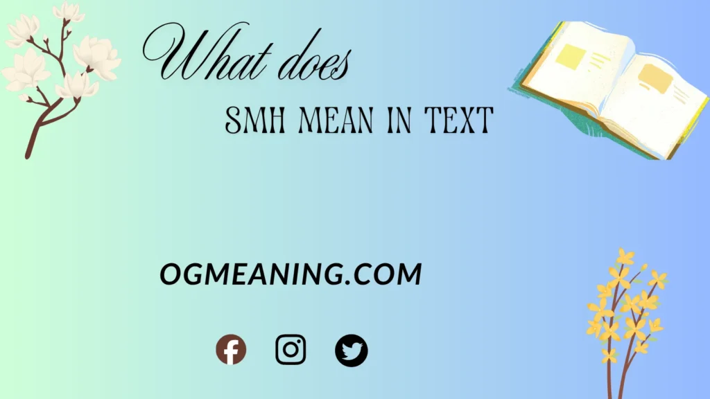 what does SMH mean in text