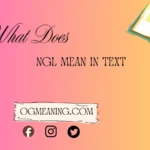 what does ngl mean in text