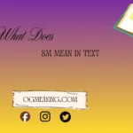 what does sm mean in text