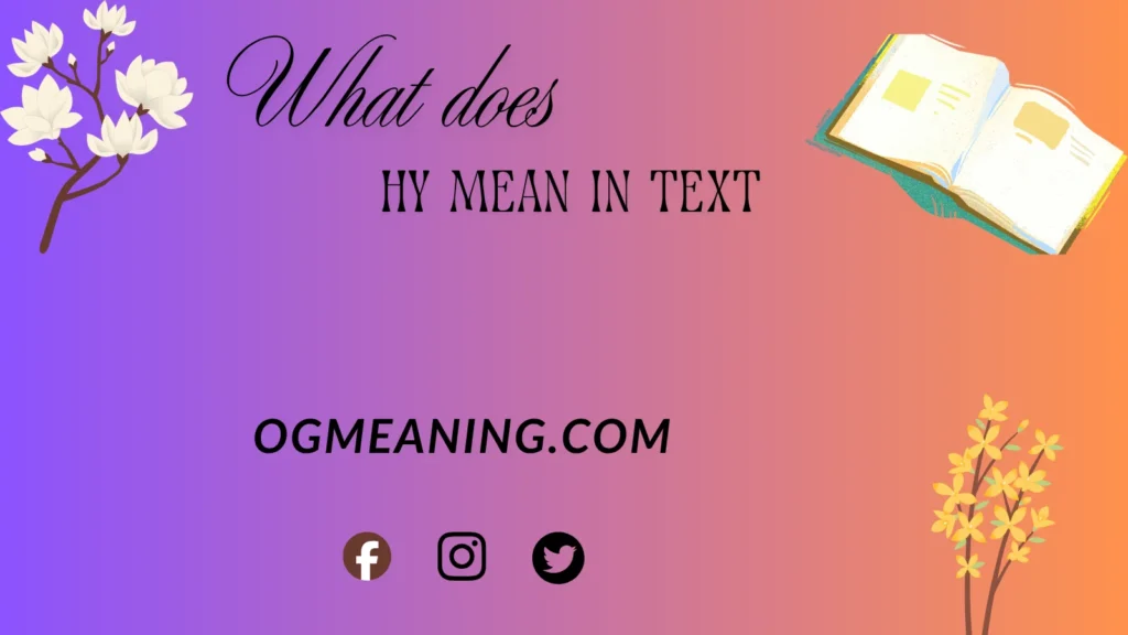 what does HY mean in text