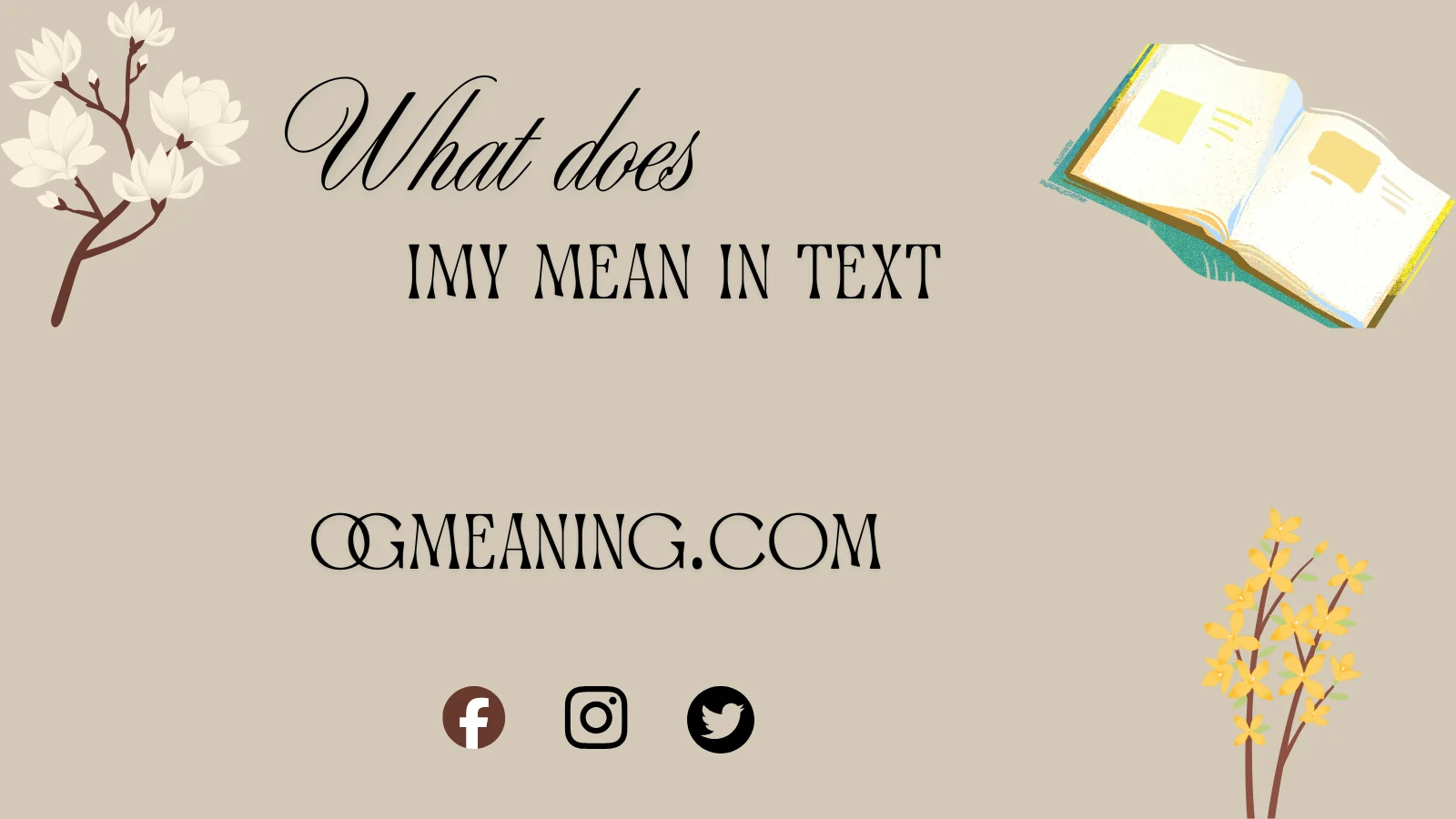 what does imy mean in text