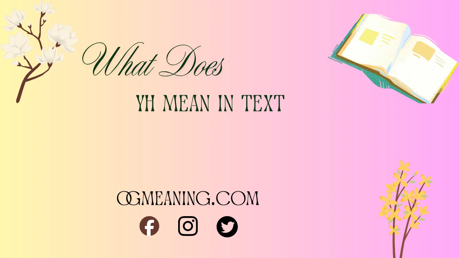 what does yh mean in text,