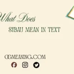 what does sybau mean in text