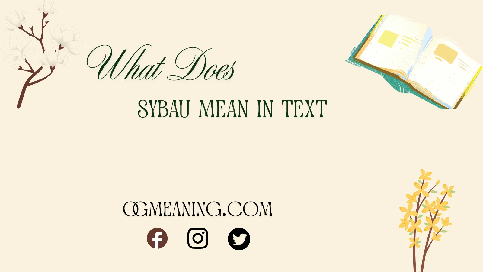 what does sybau mean in text