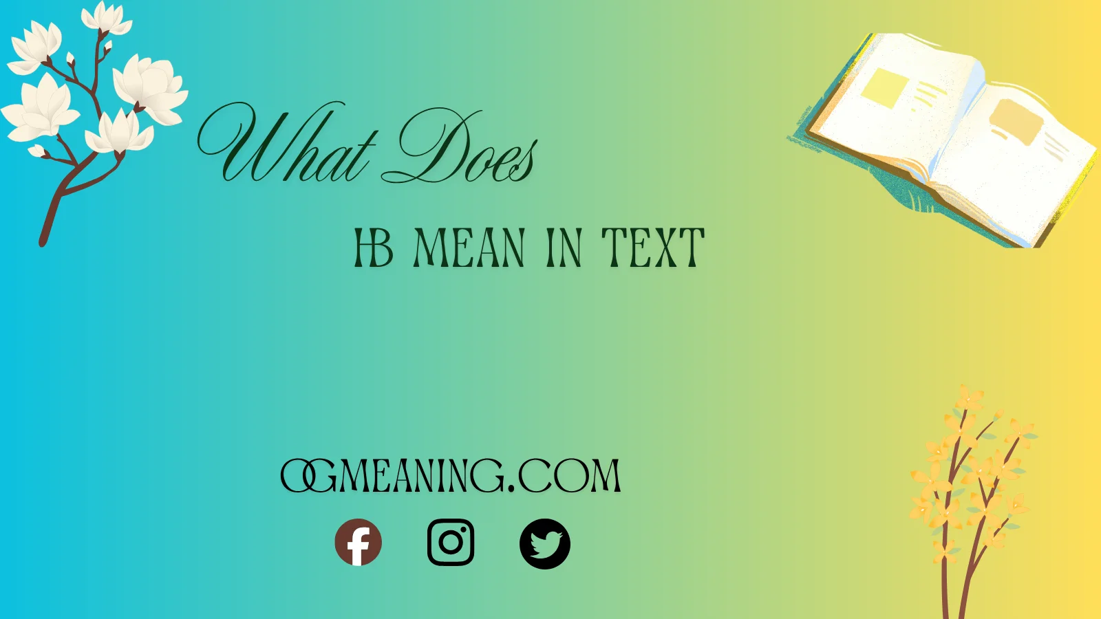 what does hb mean in text,