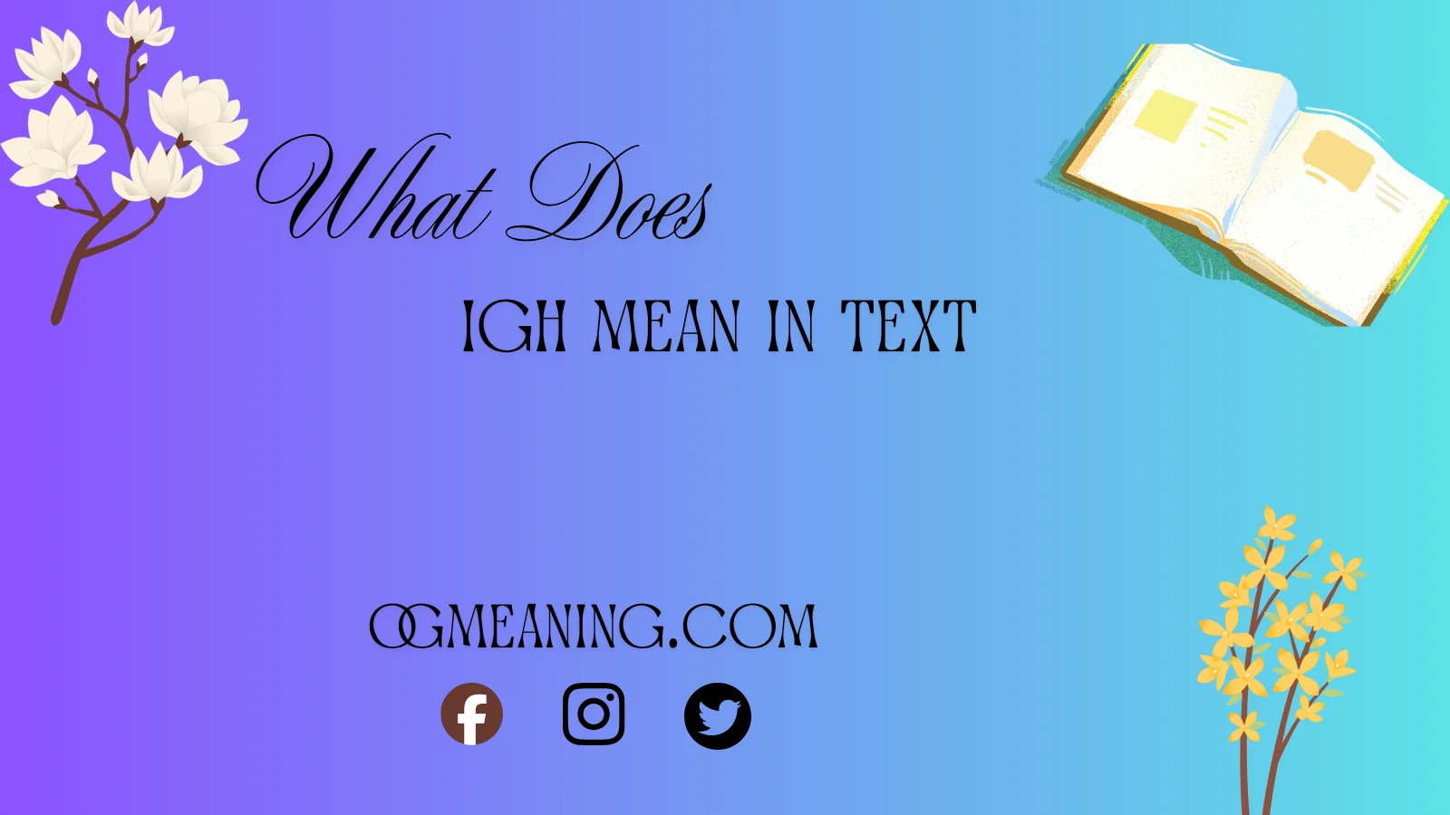 What Does IGH Mean in Text