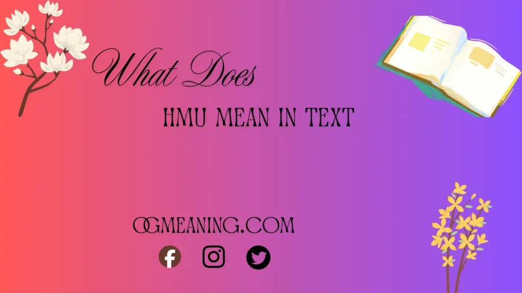what does hmu mean in text
