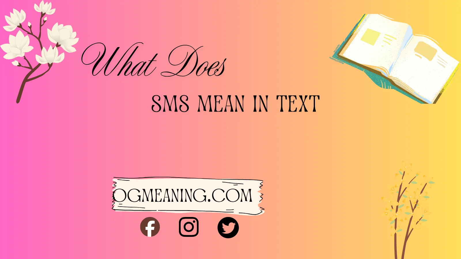what does sms mean in text