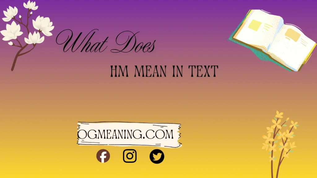 what HM means in text