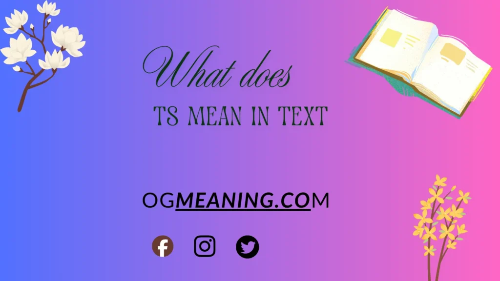 what does ts mean in text