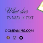 what does ts mean in text
