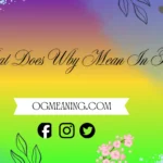 what does wby mean in text