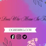 what does wtw mean in text