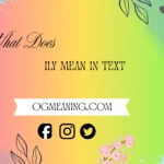 what does ily mean in text