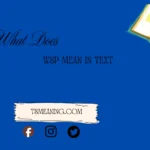 what does wsp mean in text