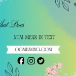 what does smt mean in text