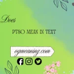 what does ptso mean in text