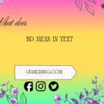 what does bd mean in text