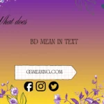 what does bd mean in text