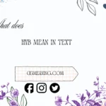 what does hyb mean in text