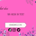 what does ws mean in text