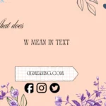 what does w mean in text
