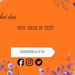 what does nvm mean in text