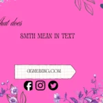 what does smth mean in text