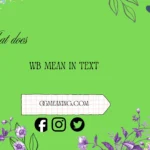 what does wb mean in text
