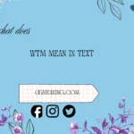 what does wtm mean in text