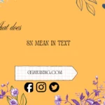 what does sn mean in text