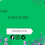 what does ts mean in text