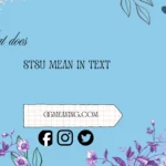 what does stsu mean in text