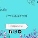 what does gtfo mean in text