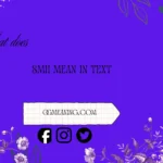 what does smh mean in text