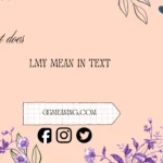 what does lmy mean in text