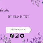 what does pfp mean in text
