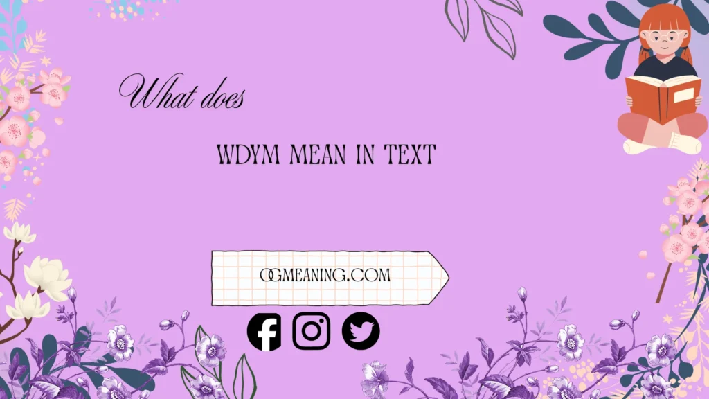 what does wdym mean in text