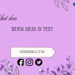 what does wdym mean in text