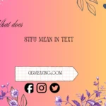 what does stfu mean in text