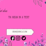 what does ts mean in a text