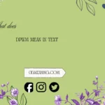 what does dpwm mean in text