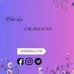 what does lonk mean in text