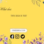 what does tsts mean in text