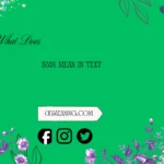 what does bms mean in text