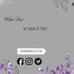 what does rt mean in text