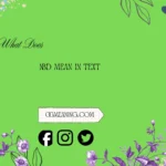 what does nbd mean in text