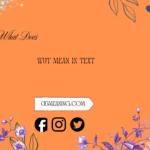 what does wut mean in text