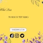 what does ts mean in text slang